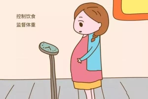 胚胎发育