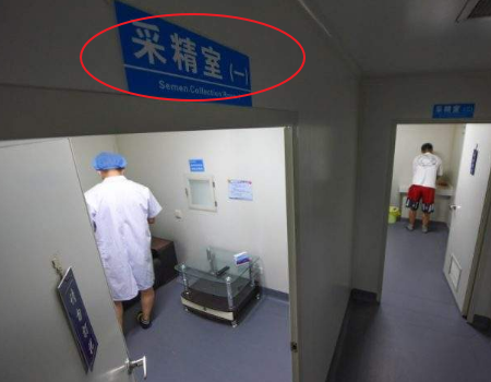 自然怀孕