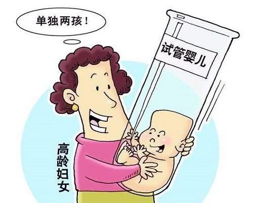 胚胎移植