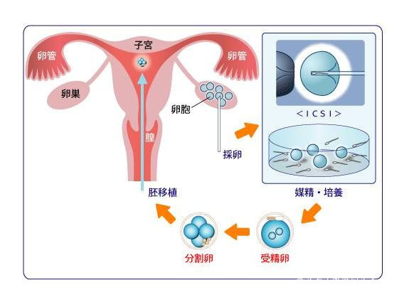 独自带娃