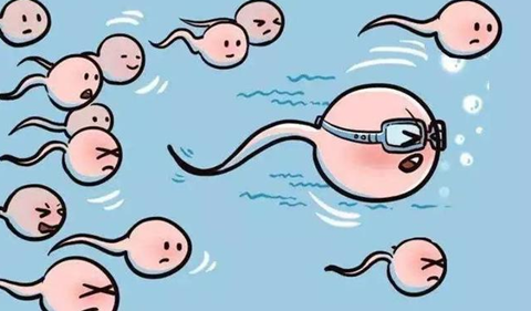 自然流产