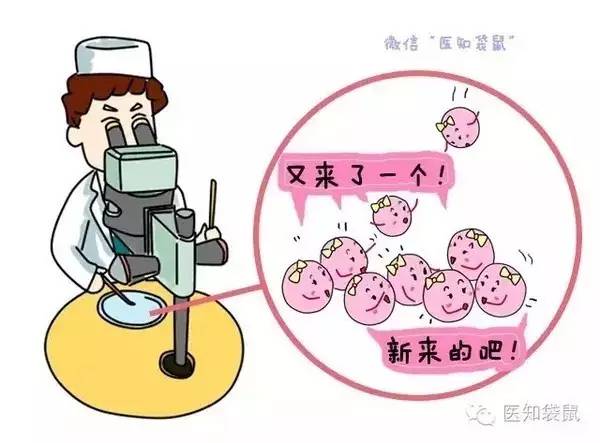 自然受孕率