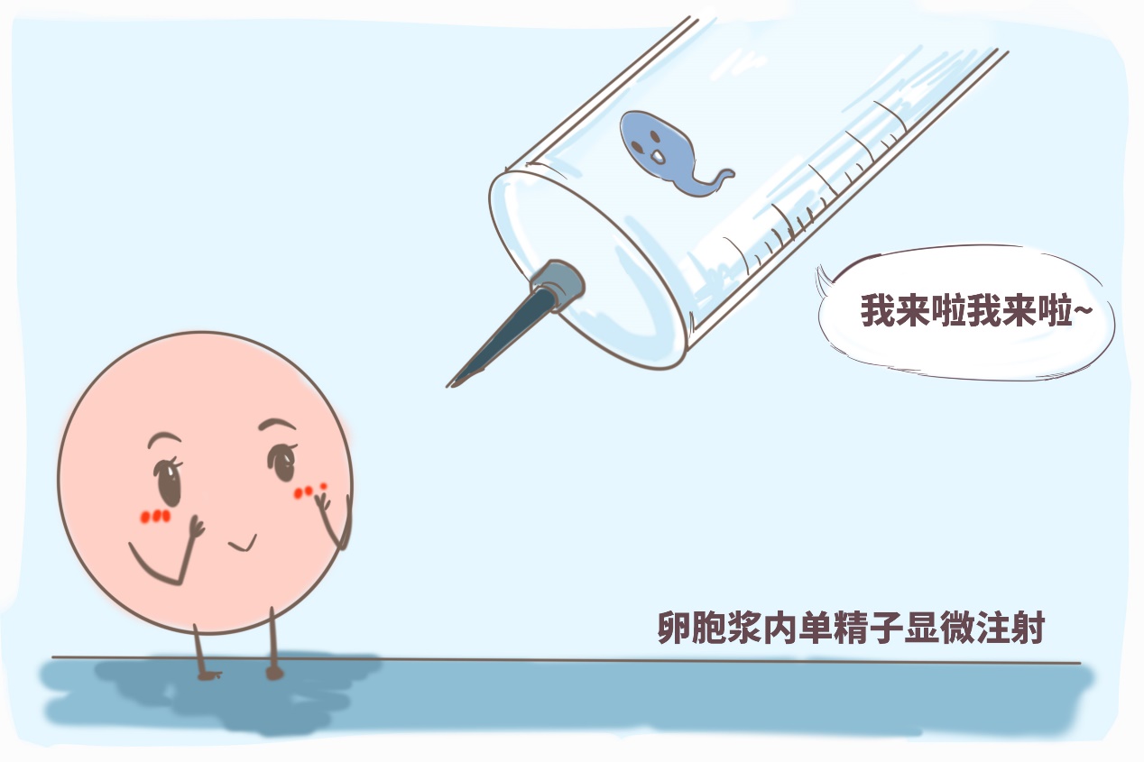 臀位