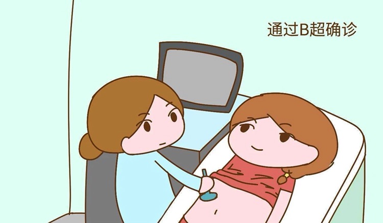 发热