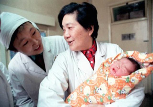 胚胎发育