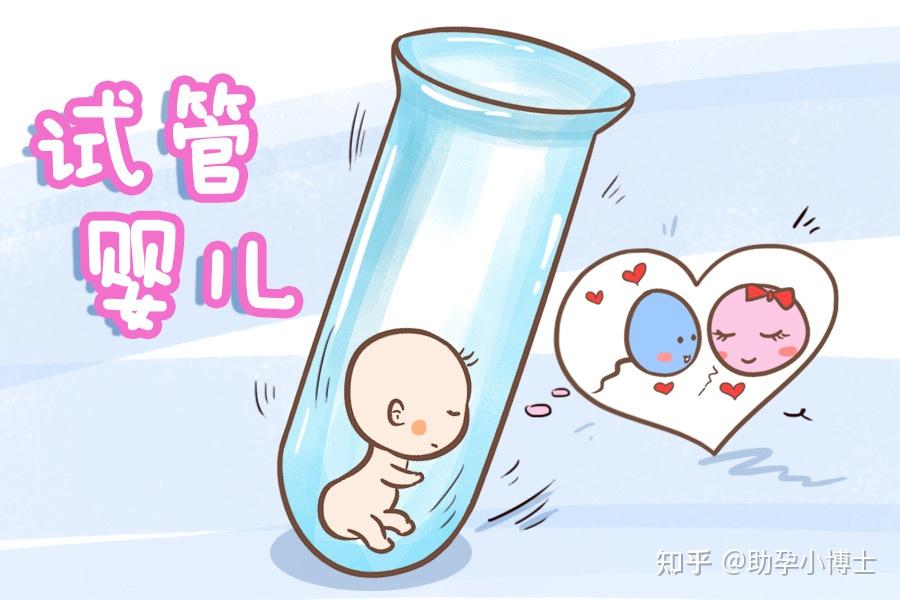 胚胎移植