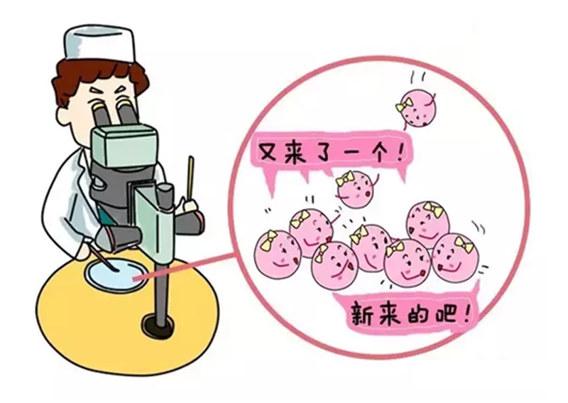 药流最佳时间