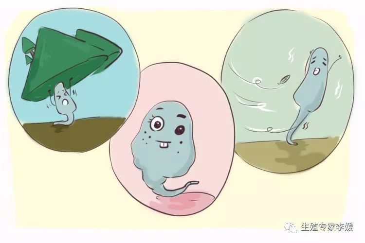 臀位