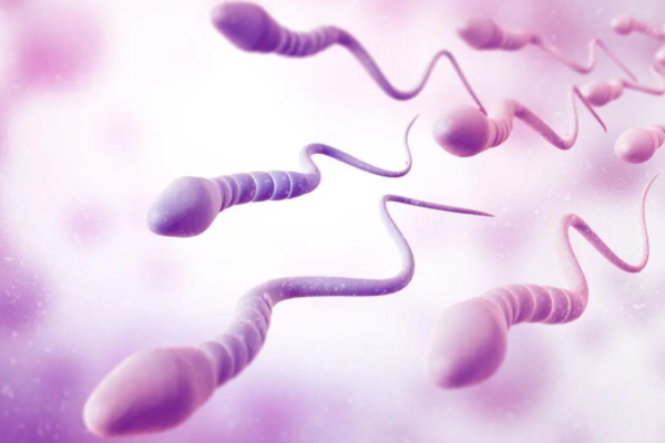 女性健康