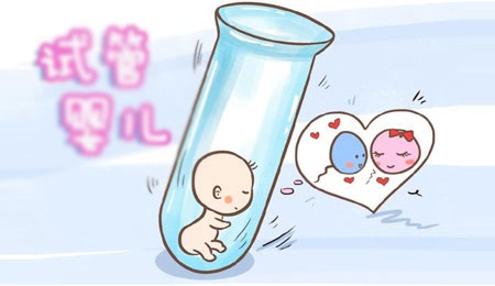 移植胚胎