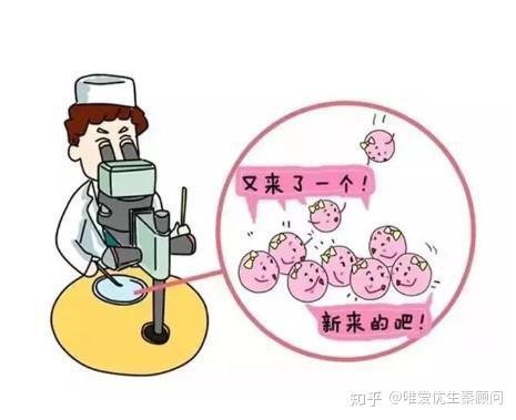 胚胎移植