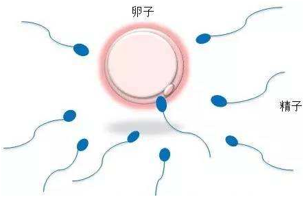 自然流产