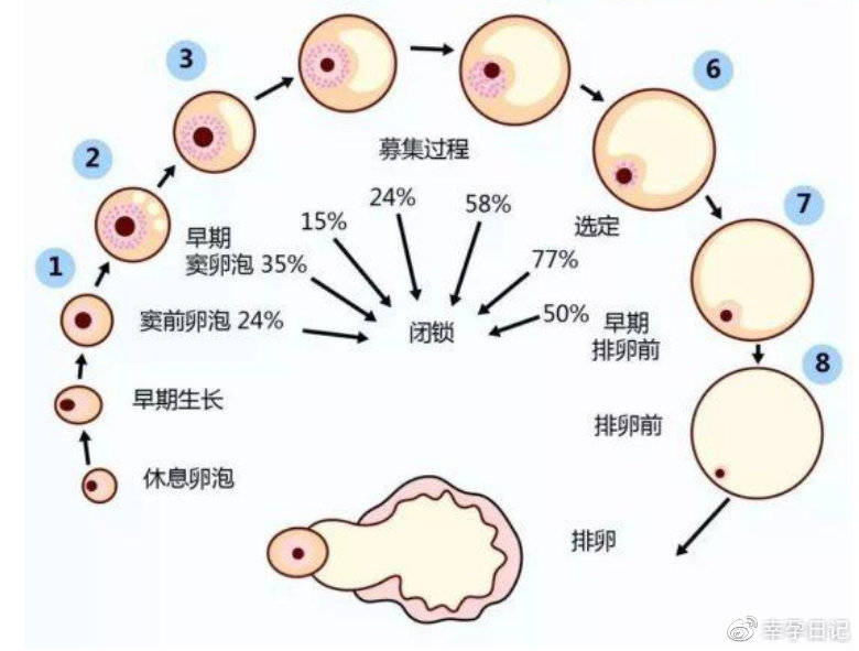 带娃