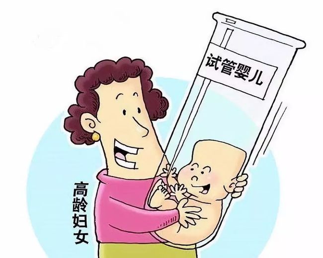 胚胎质量