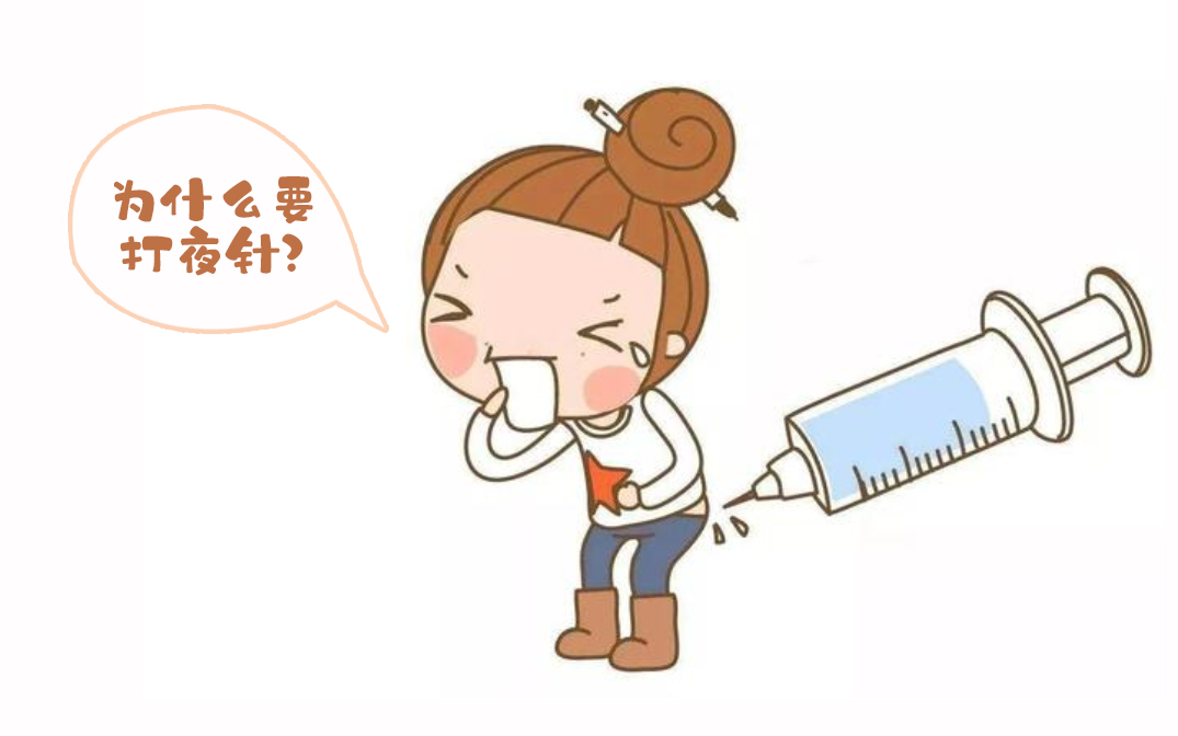 胚胎着床