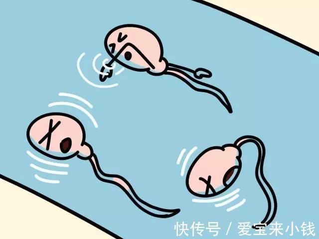 胚胎移植