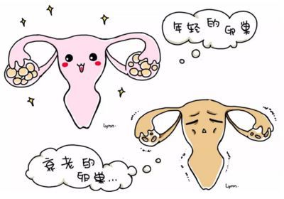 终止妊娠