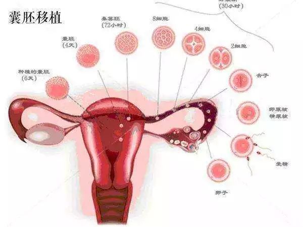 脑瘫