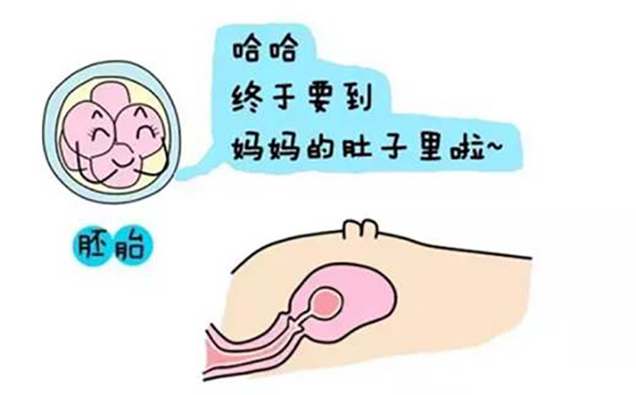 南宁试管医院排名前十名