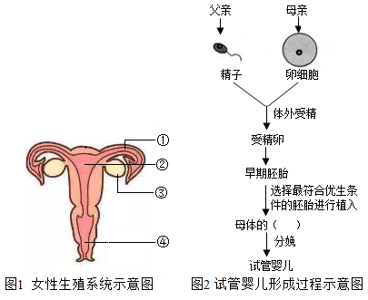 南昌试管婴儿